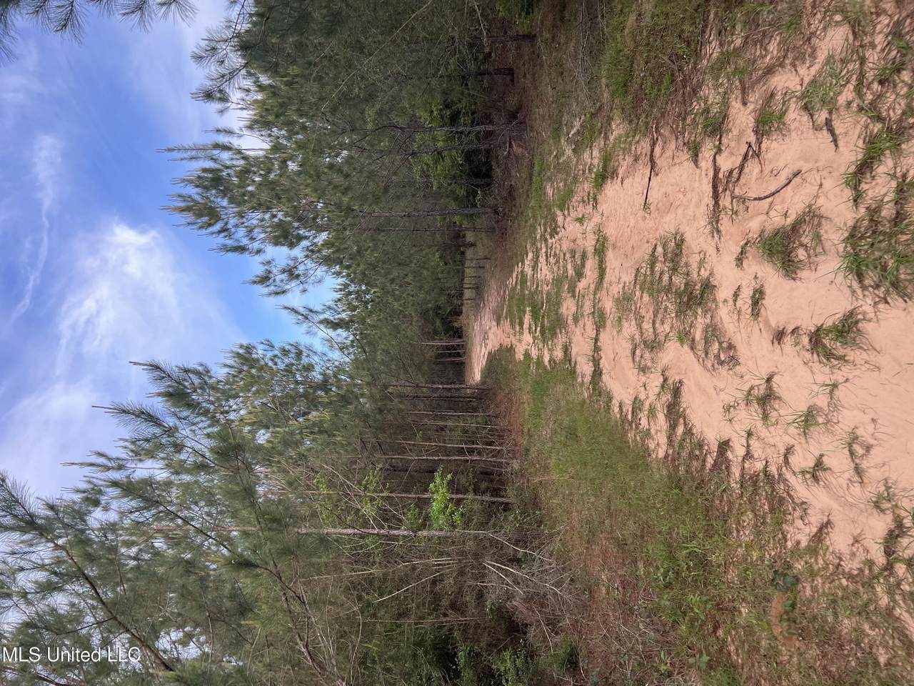  Co Rd 230 - Photo 1