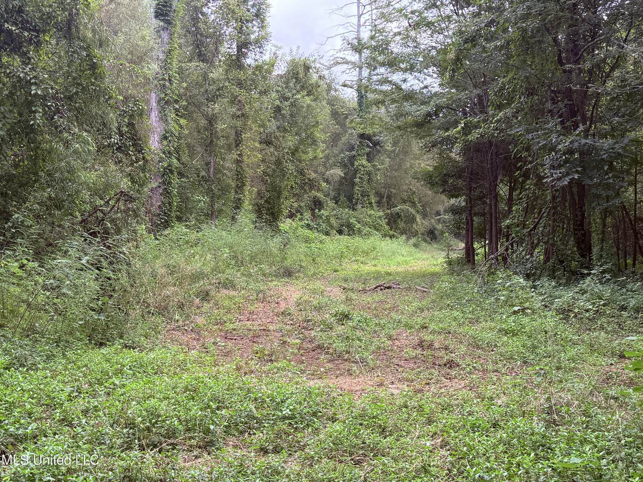 https://bt-photos.global.ssl.fastly.net/united/1280_boomver_1_4131388-2.jpg