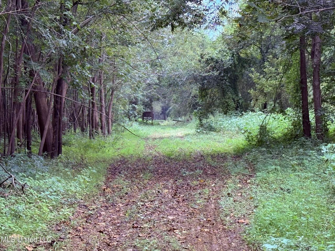 https://bt-photos.global.ssl.fastly.net/united/1280_boomver_1_4131388-2.jpg