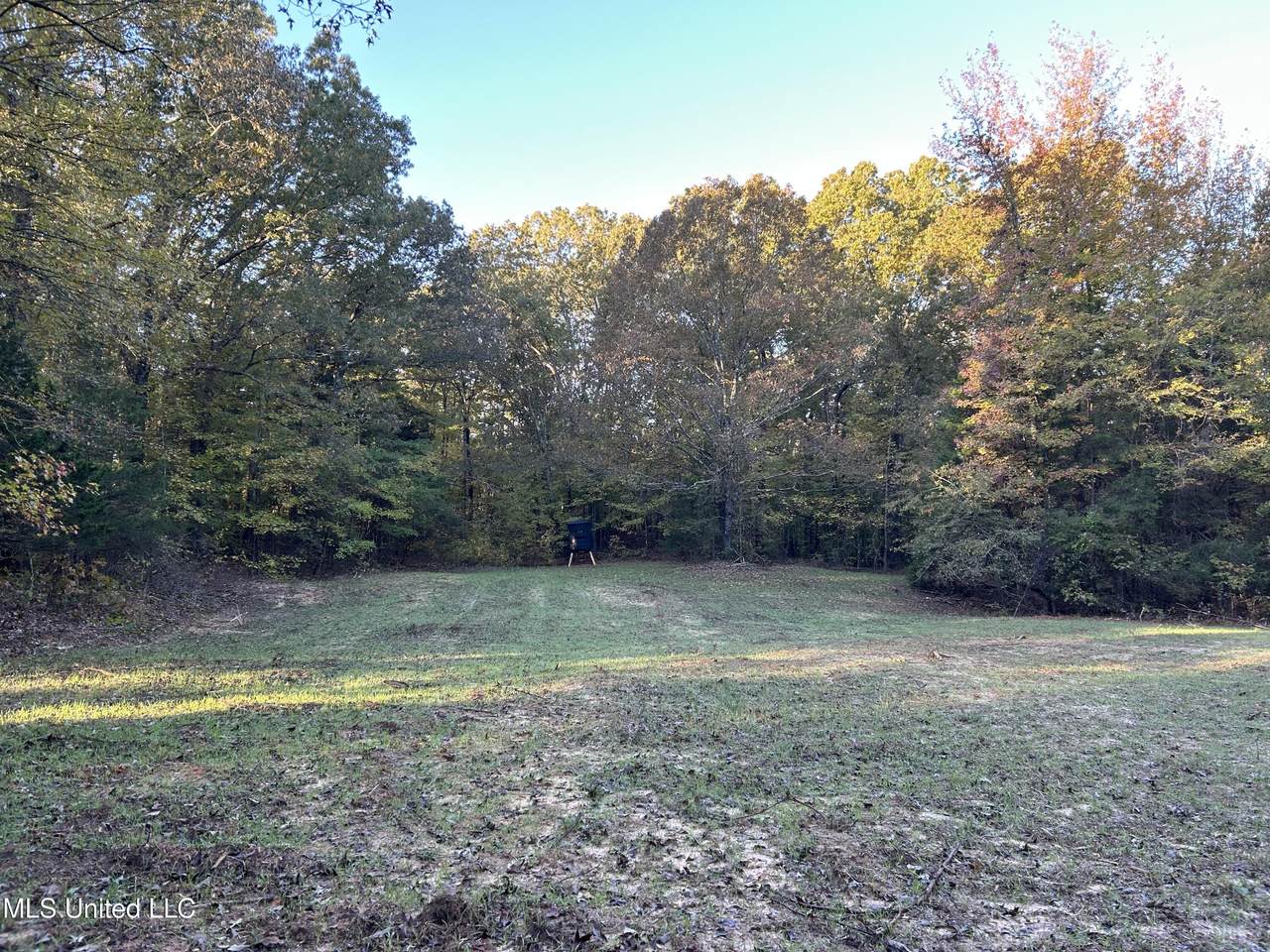  Franklin Drive - Photo 1