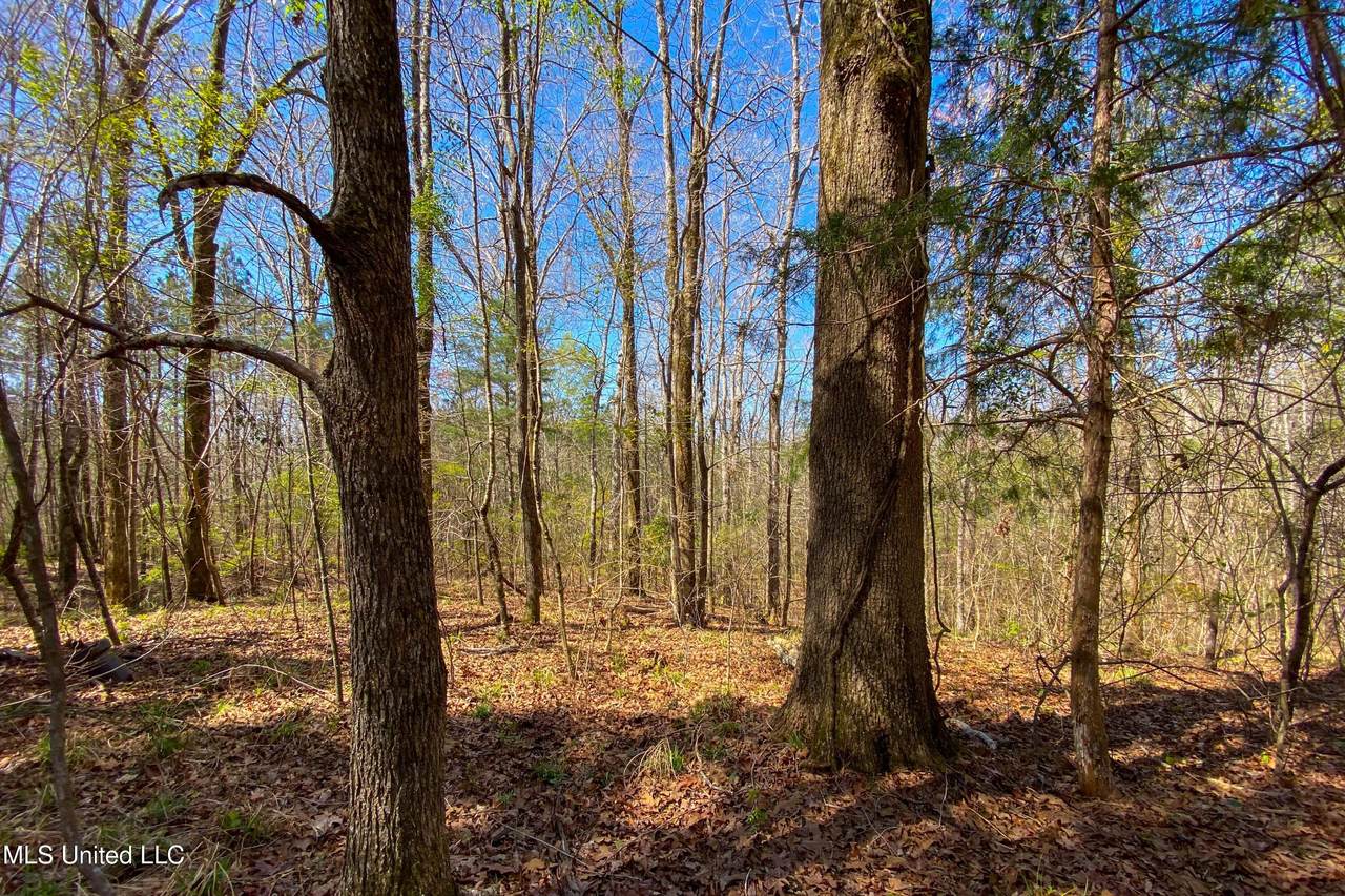481 Ward Road - Photo 1