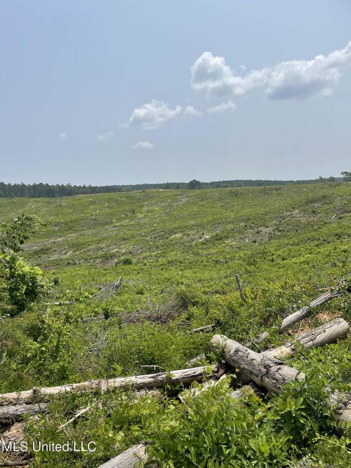  Co Rd 143 - Photo 1