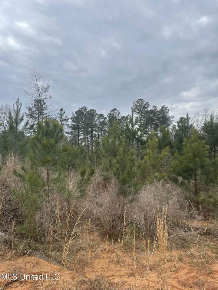  Co Rd 419 - Photo 1