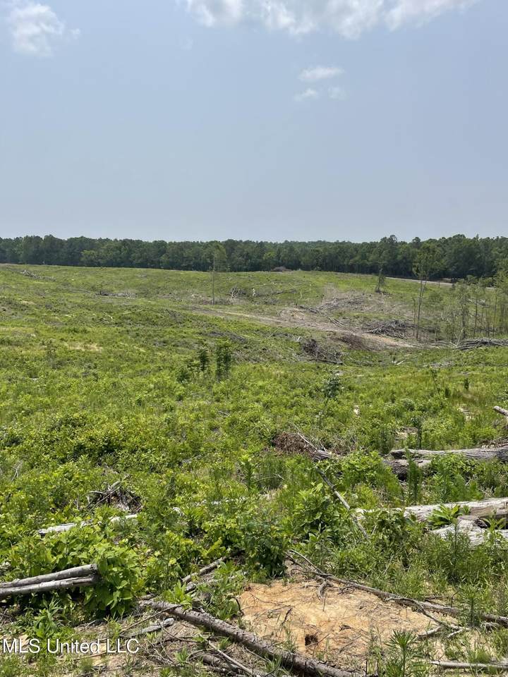  Hendrix/Pine Grove Road - Photo 1