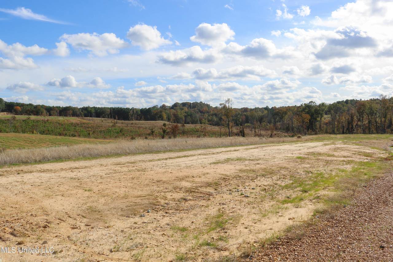 Tract 8 Hugh White State Park Road - Photo 1