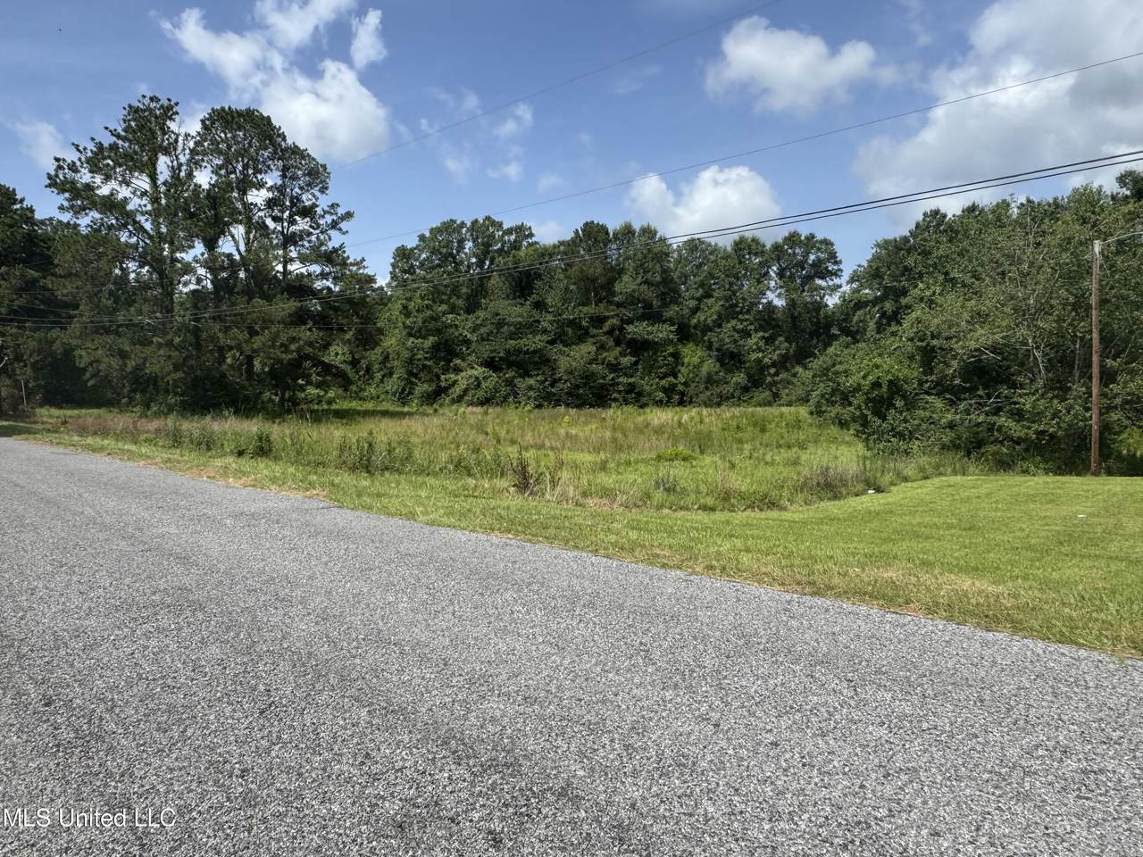 1033 Gertman Hiill Rd Road - Photo 1