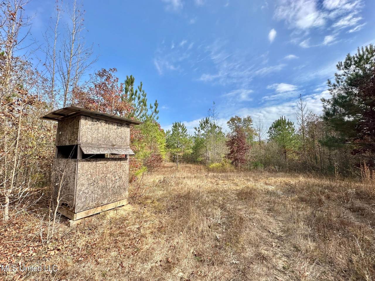 0 County Road 3122 - Photo 1