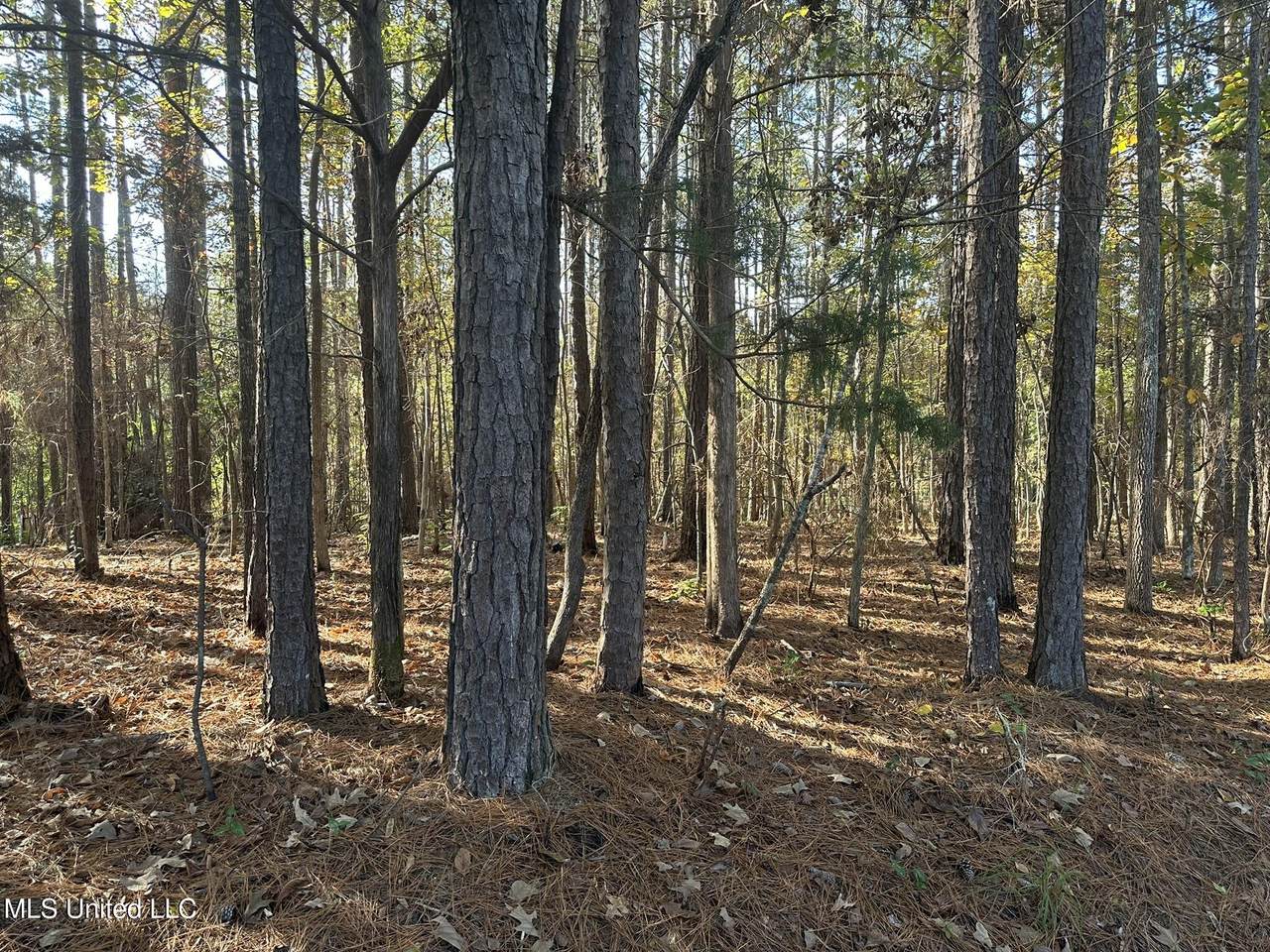 https://bt-photos.global.ssl.fastly.net/united/1280_boomver_1_4131908-2.jpg