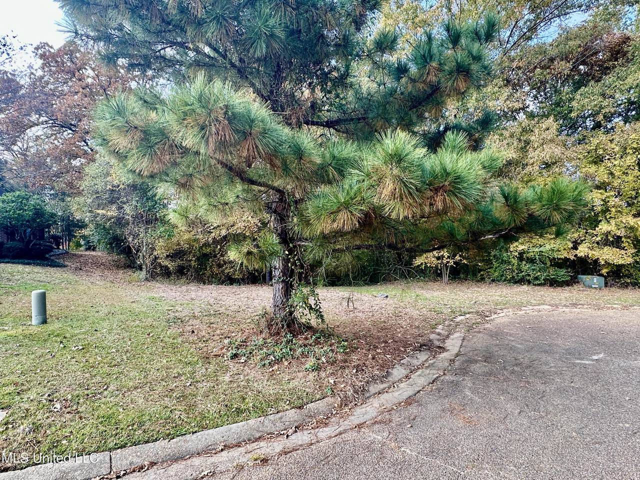0 Ashton Place - Photo 1