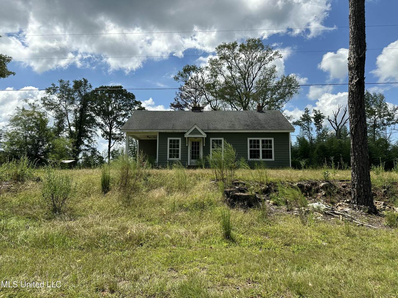 4393 County Road 470 - Photo 1