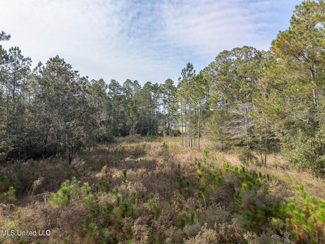 5605 Richmond Street - Photo 1