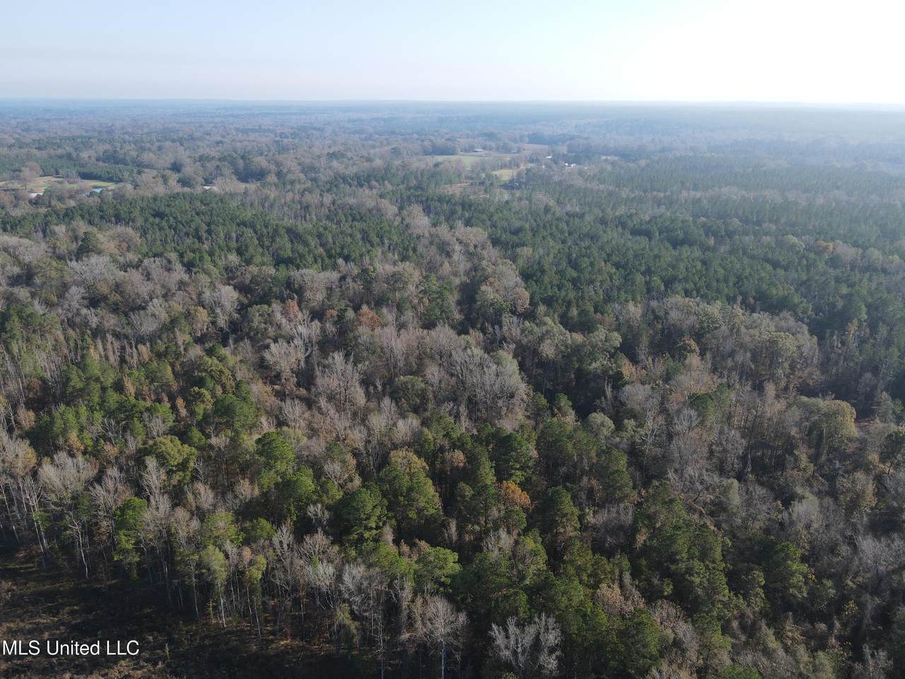 00 Nelson Corner Road - Photo 1