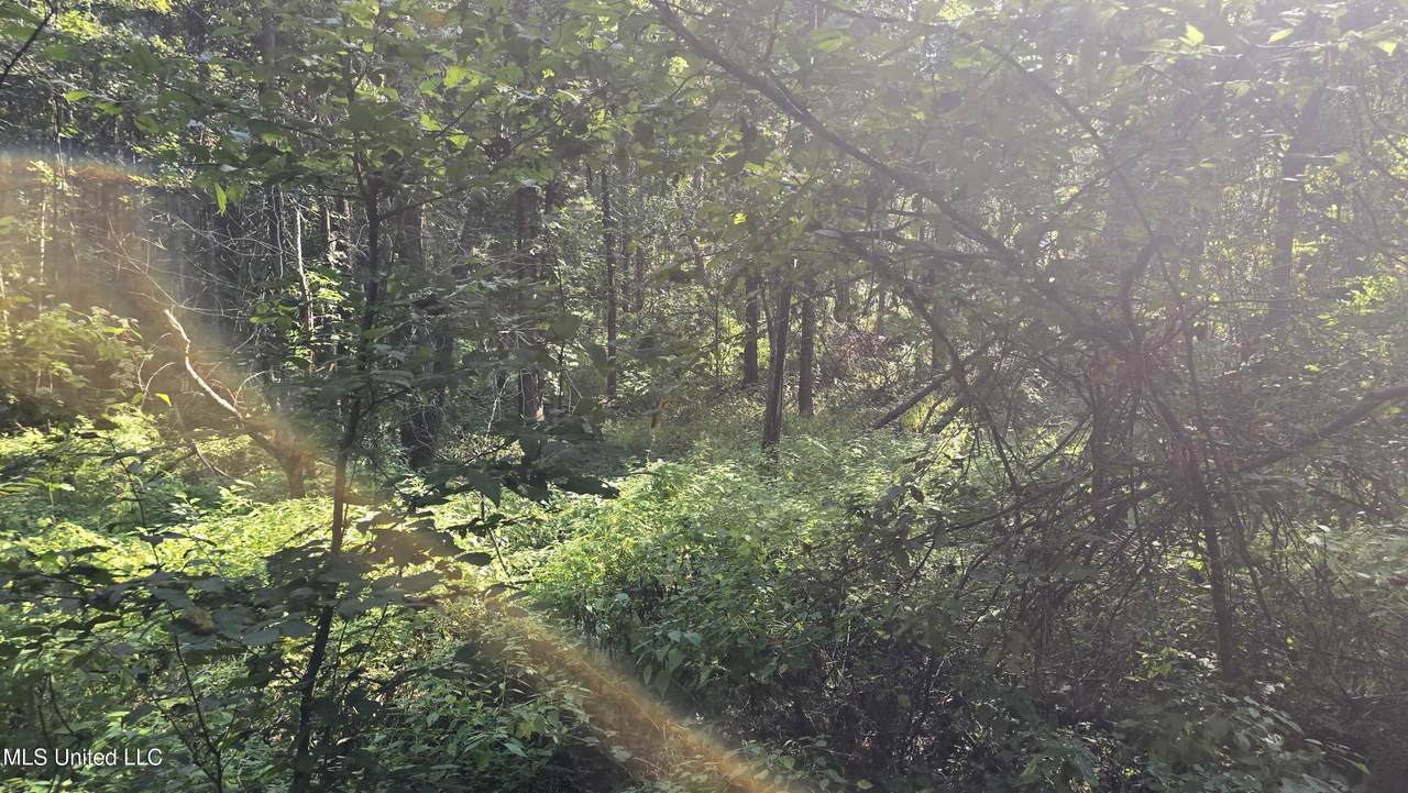 https://bt-photos.global.ssl.fastly.net/united/1280_boomver_1_4132582-2.jpg