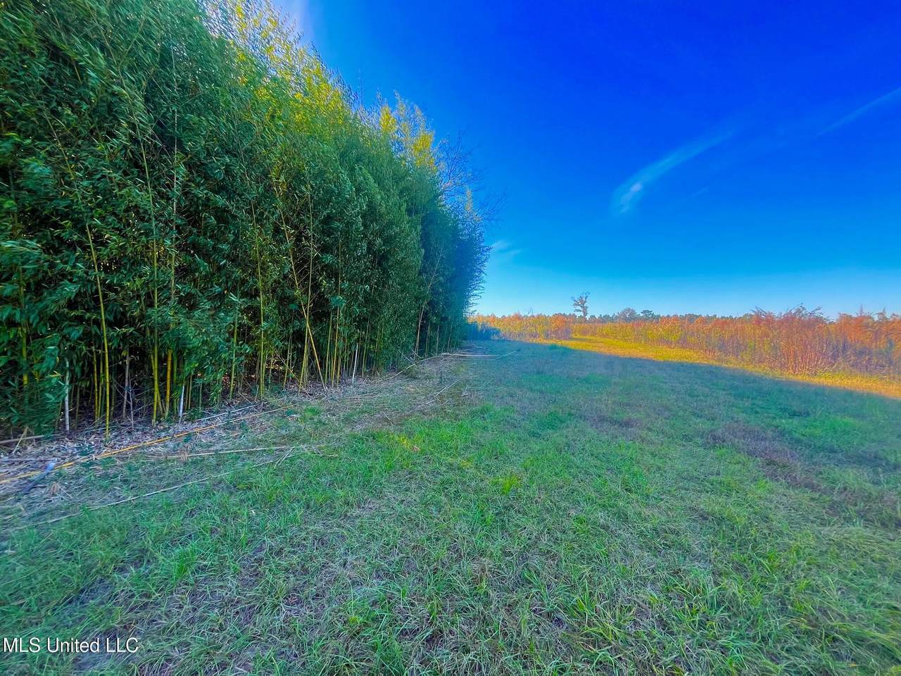  Darbun China Grove Road - Photo 1
