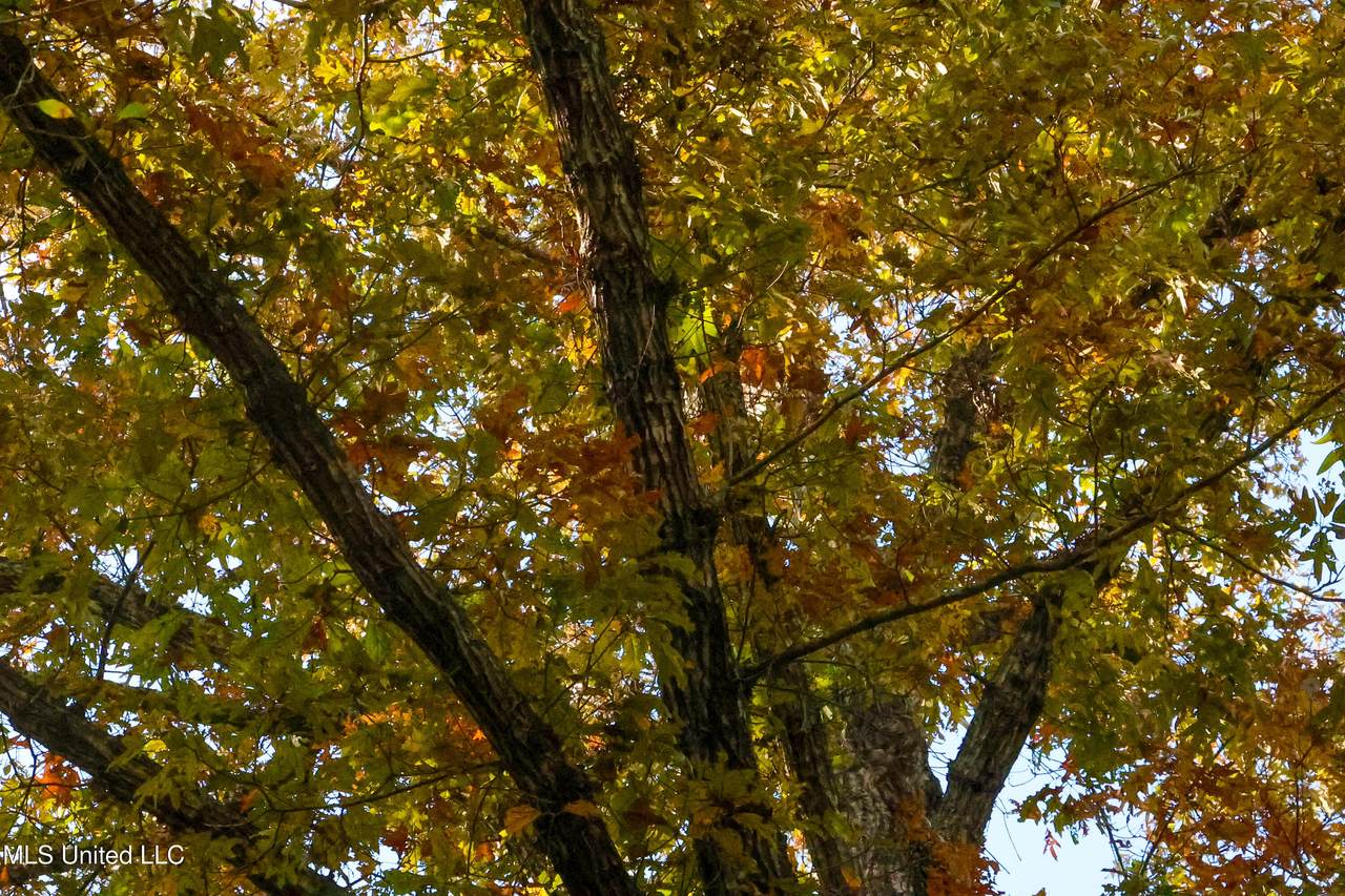 https://bt-photos.global.ssl.fastly.net/united/1280_boomver_1_4132652-2.jpg