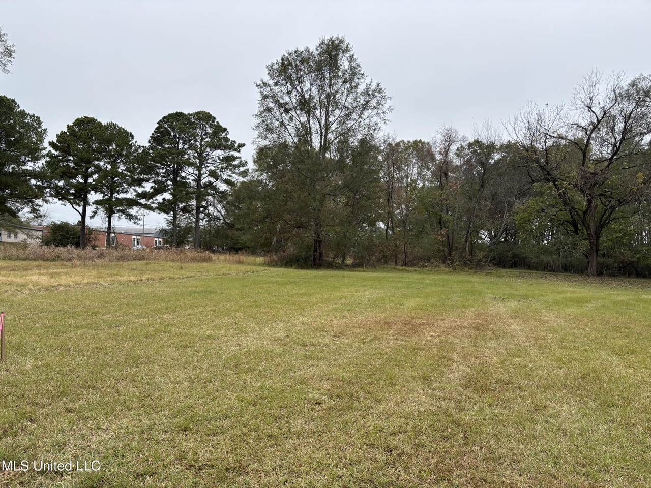  Harris Lane - Photo 1