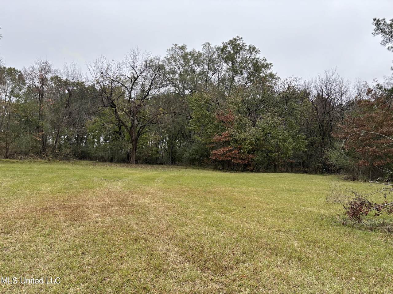 https://bt-photos.global.ssl.fastly.net/united/1280_boomver_1_4132976-2.jpg