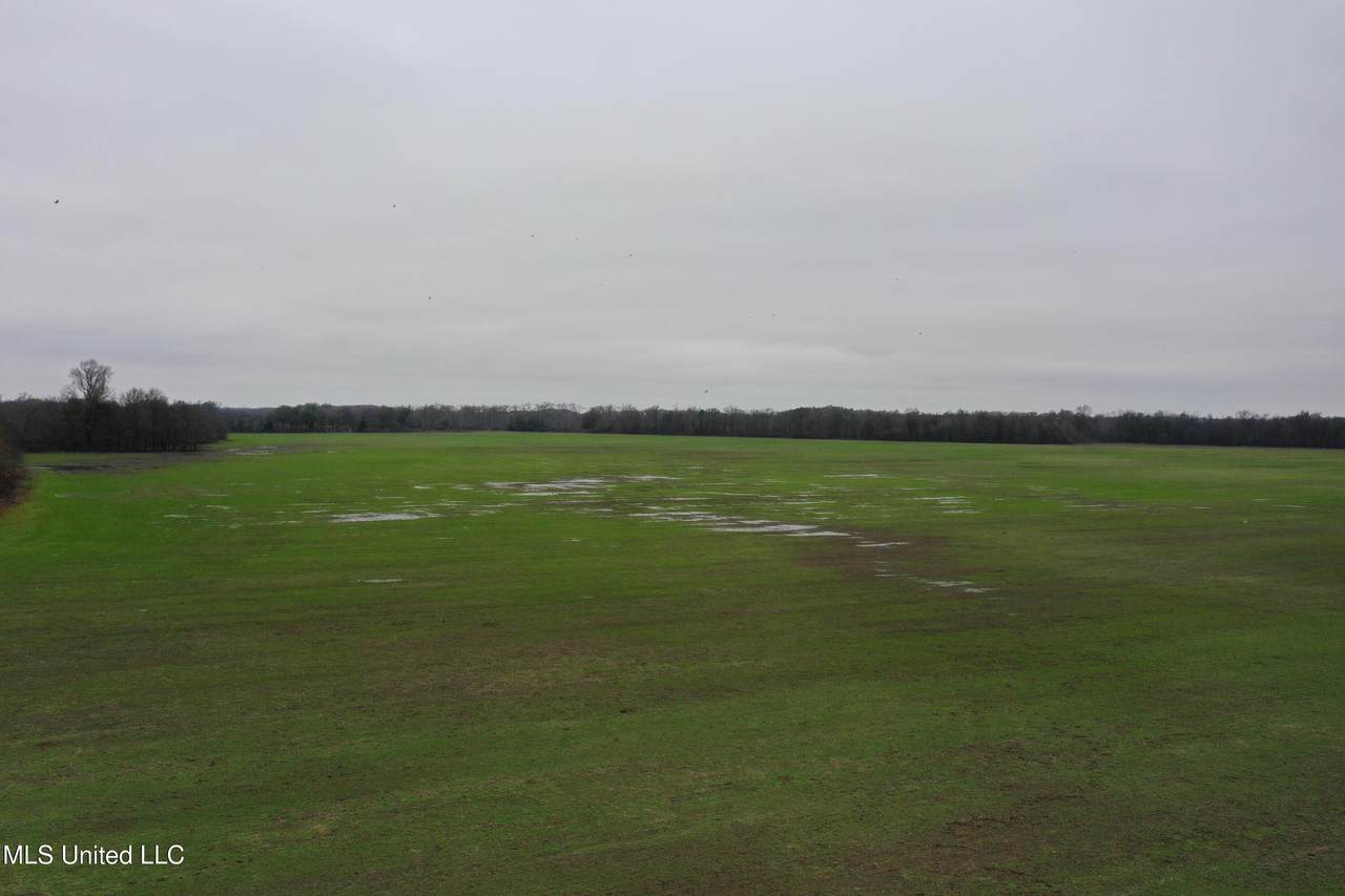2000 Walnut Lake Road - Photo 1
