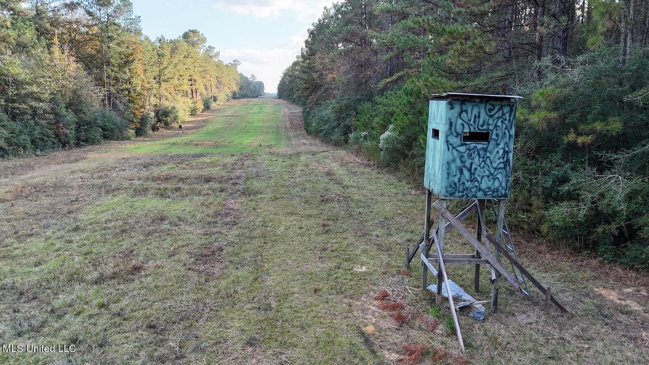 Tbd Aunt Margies Road - Photo 1