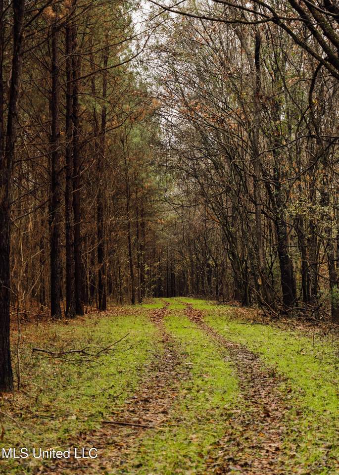 745 Black Jack Road - Photo 1