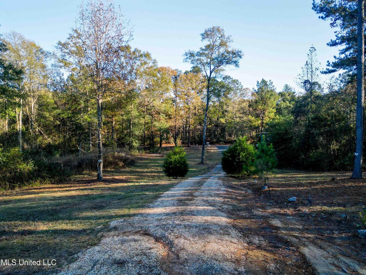 54 New Saint Paul Church Drive - Photo 1