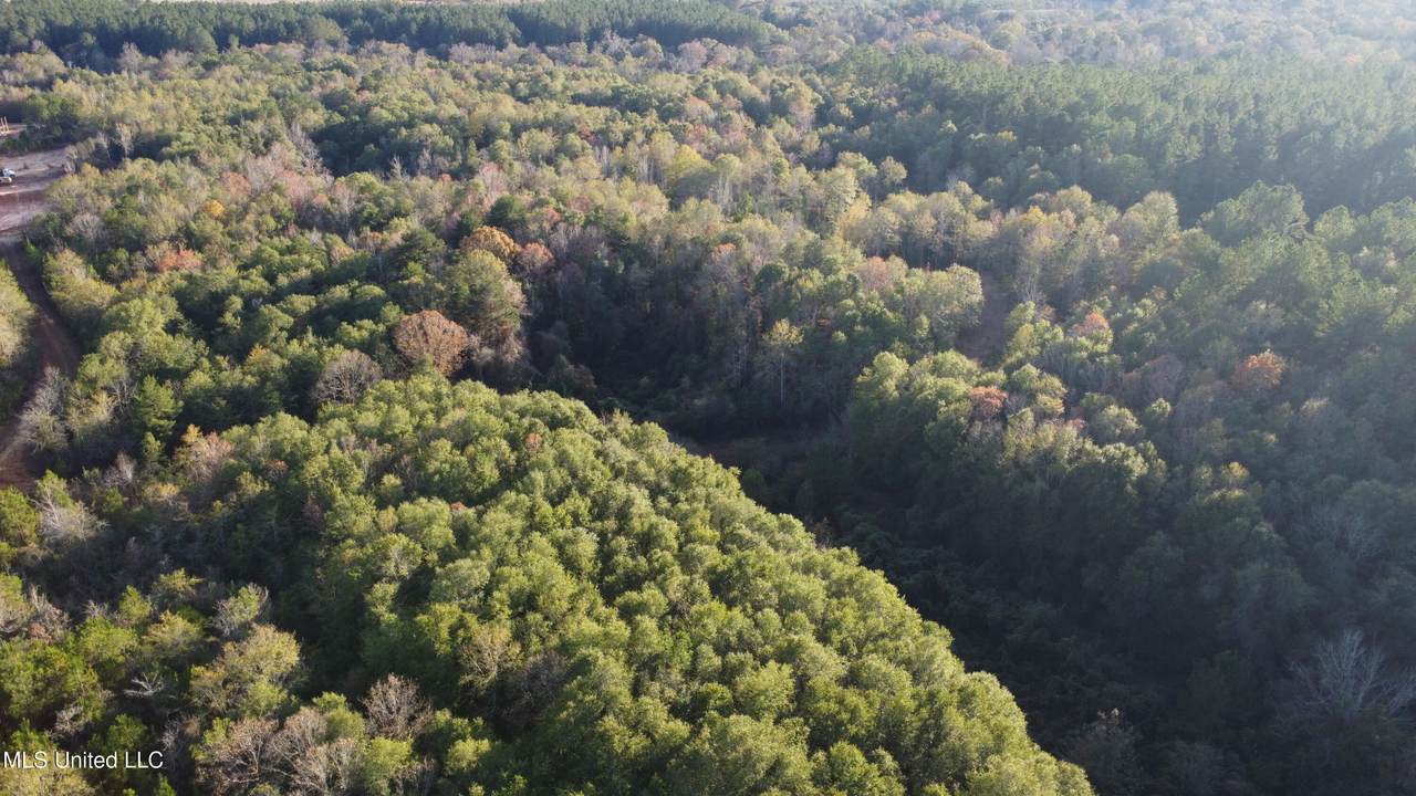  10 Mile Creek Road - Photo 1