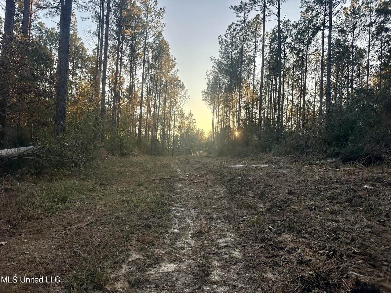 000 Monticello Road - Photo 1