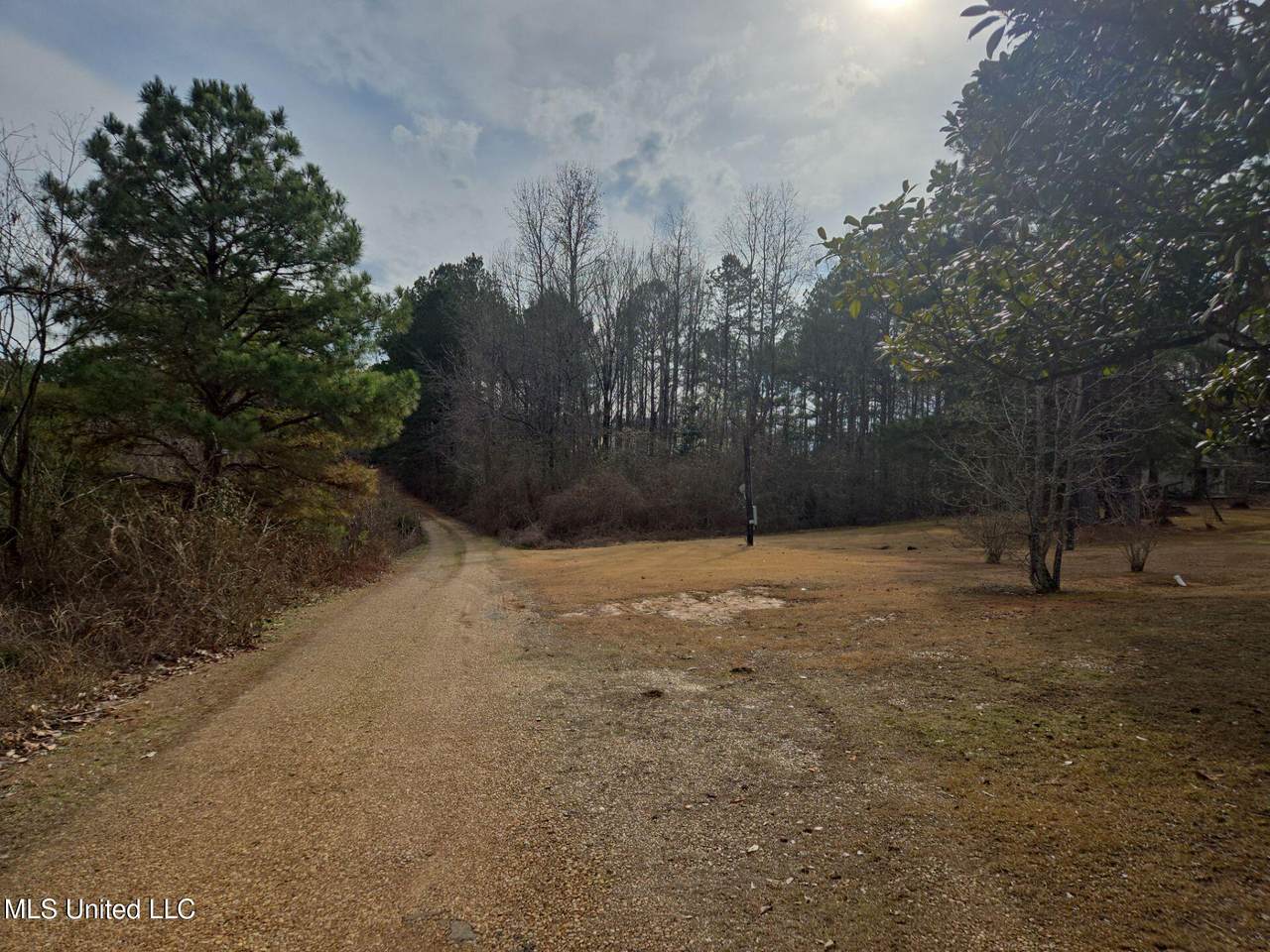 654 Baremore Street - Photo 1