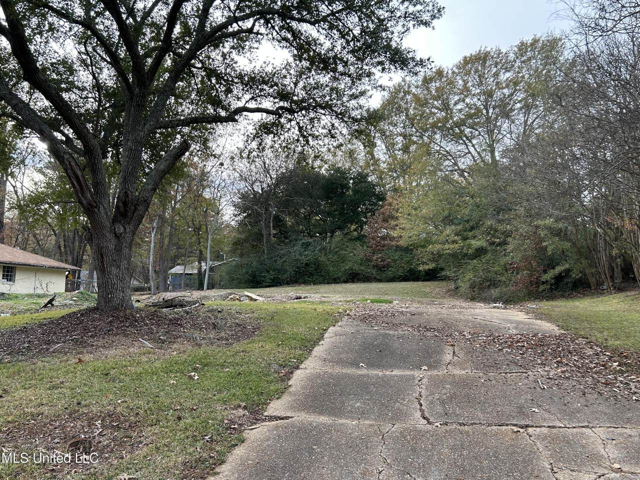  Meadow Ln Circle - Photo 1