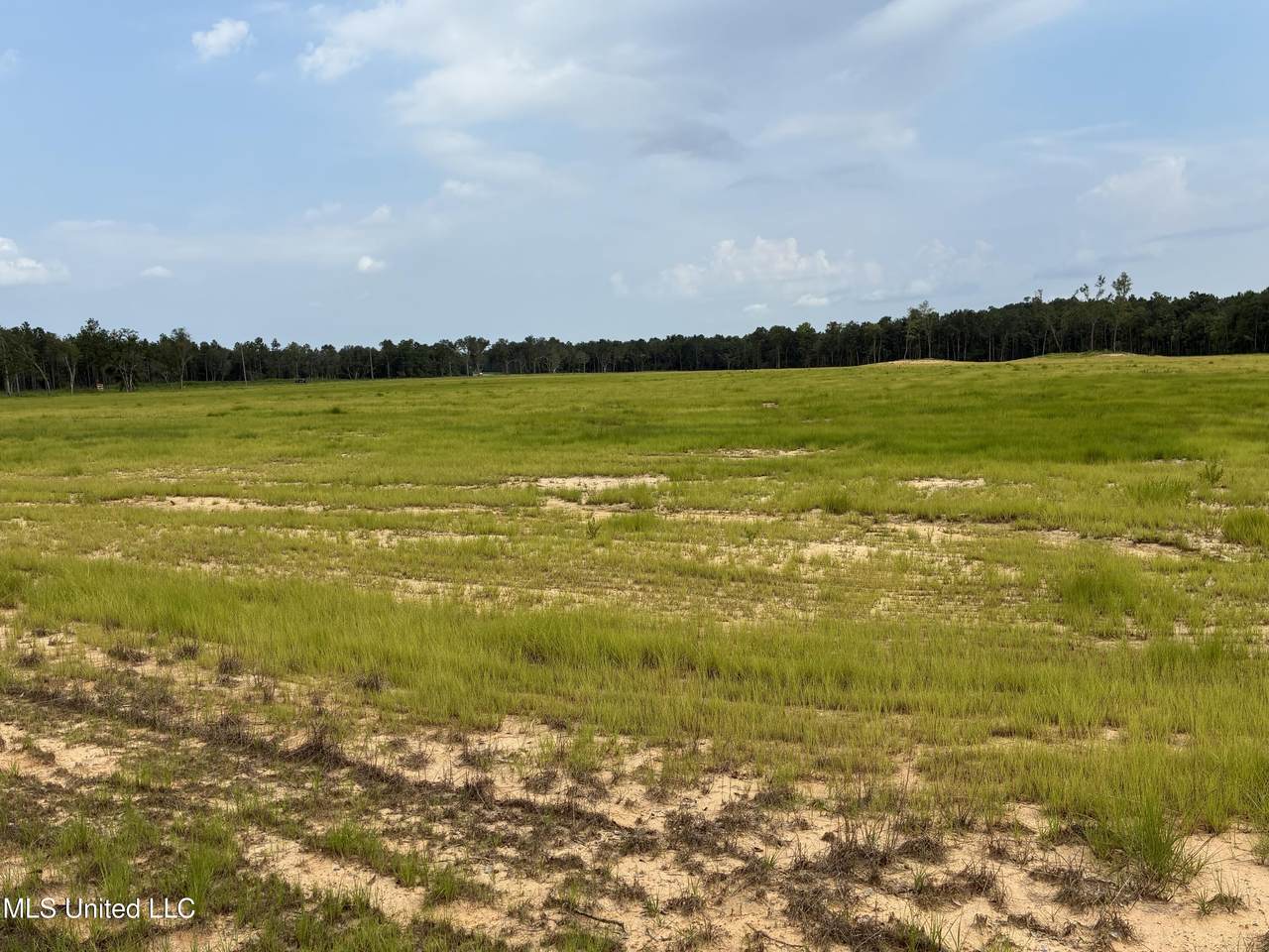  Lot 5 Hwy 43 - Photo 1