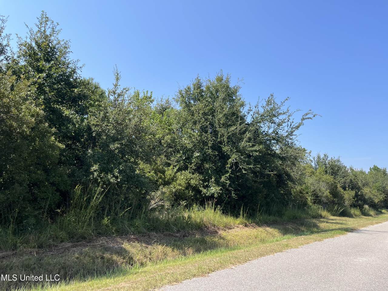 4131 39th Street - Photo 1