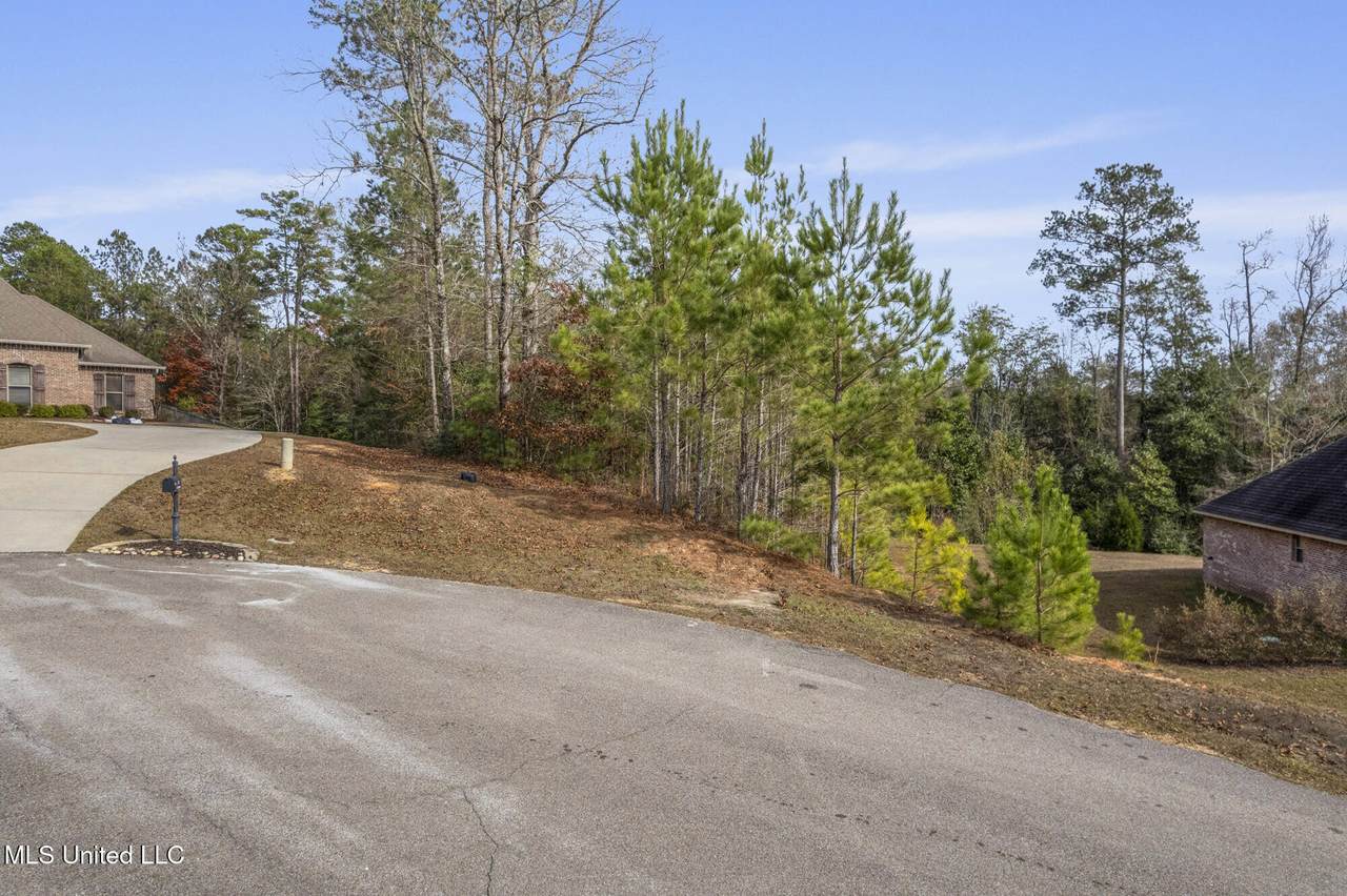 108 Creedmoor - Photo 1