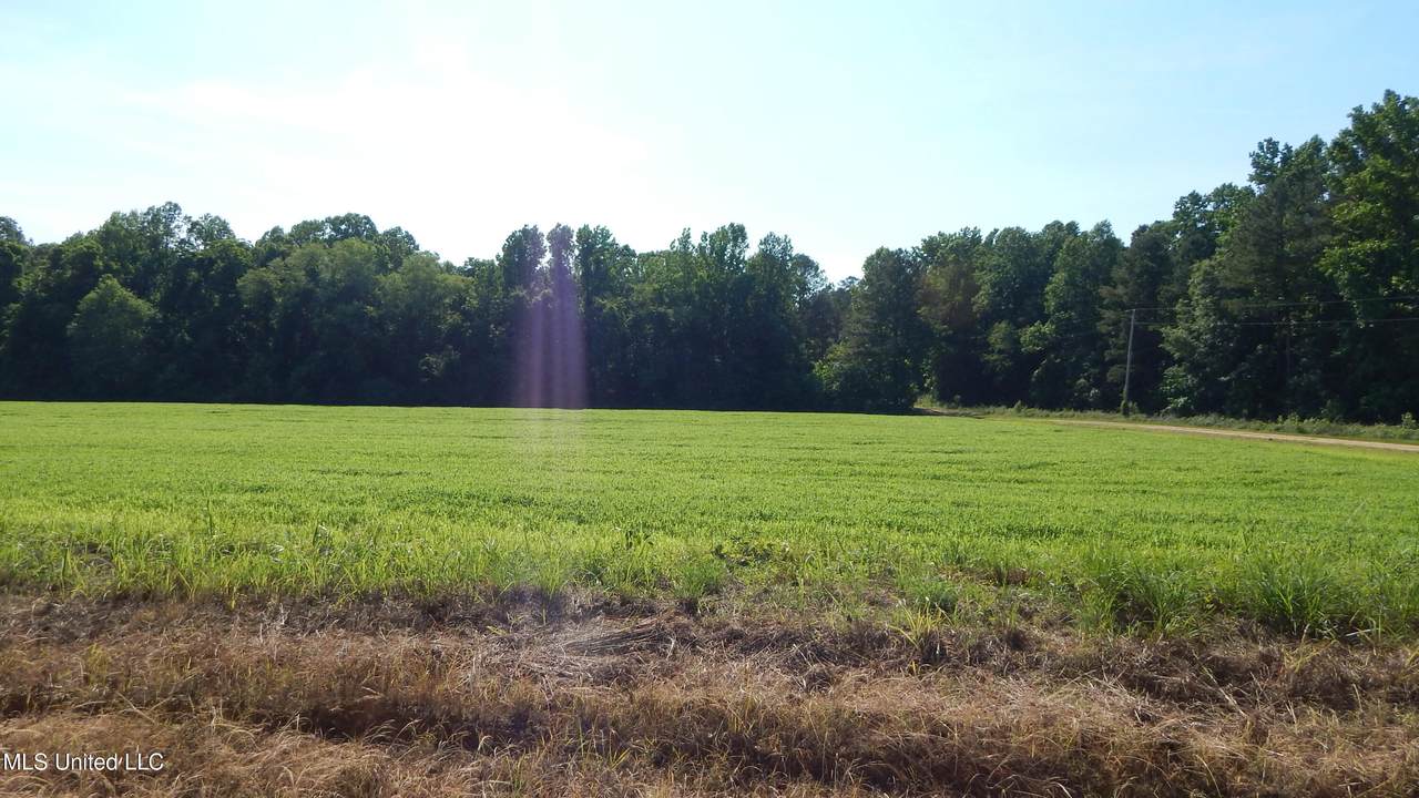 515 County Road 247 Country Road - Photo 1