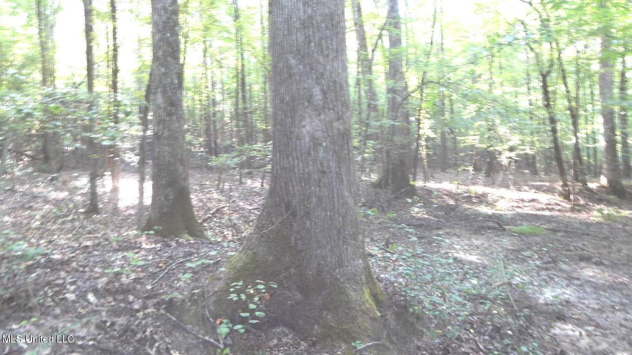 https://bt-photos.global.ssl.fastly.net/united/1280_boomver_1_4134715-2.jpg