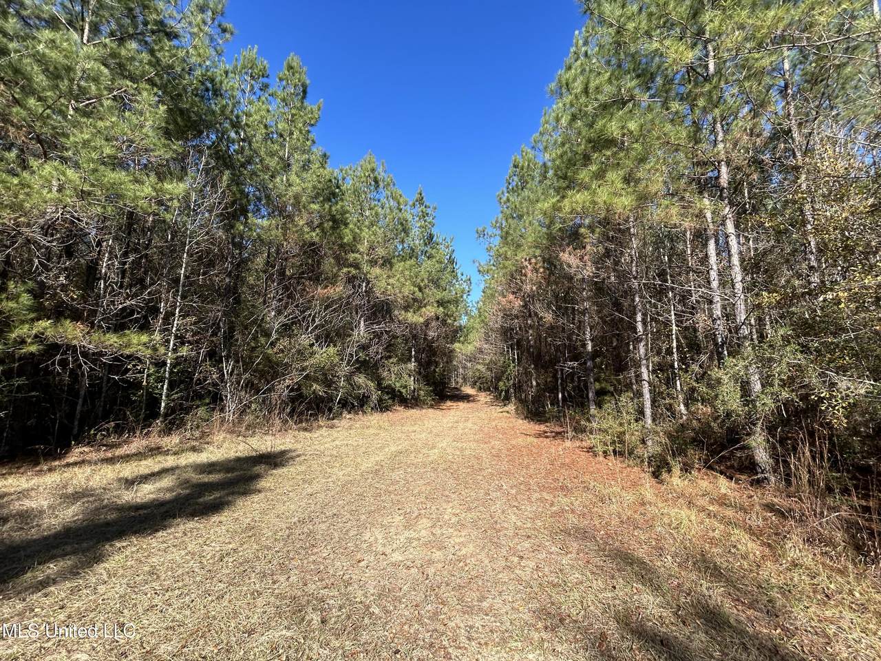 . Dwain Road - Photo 1