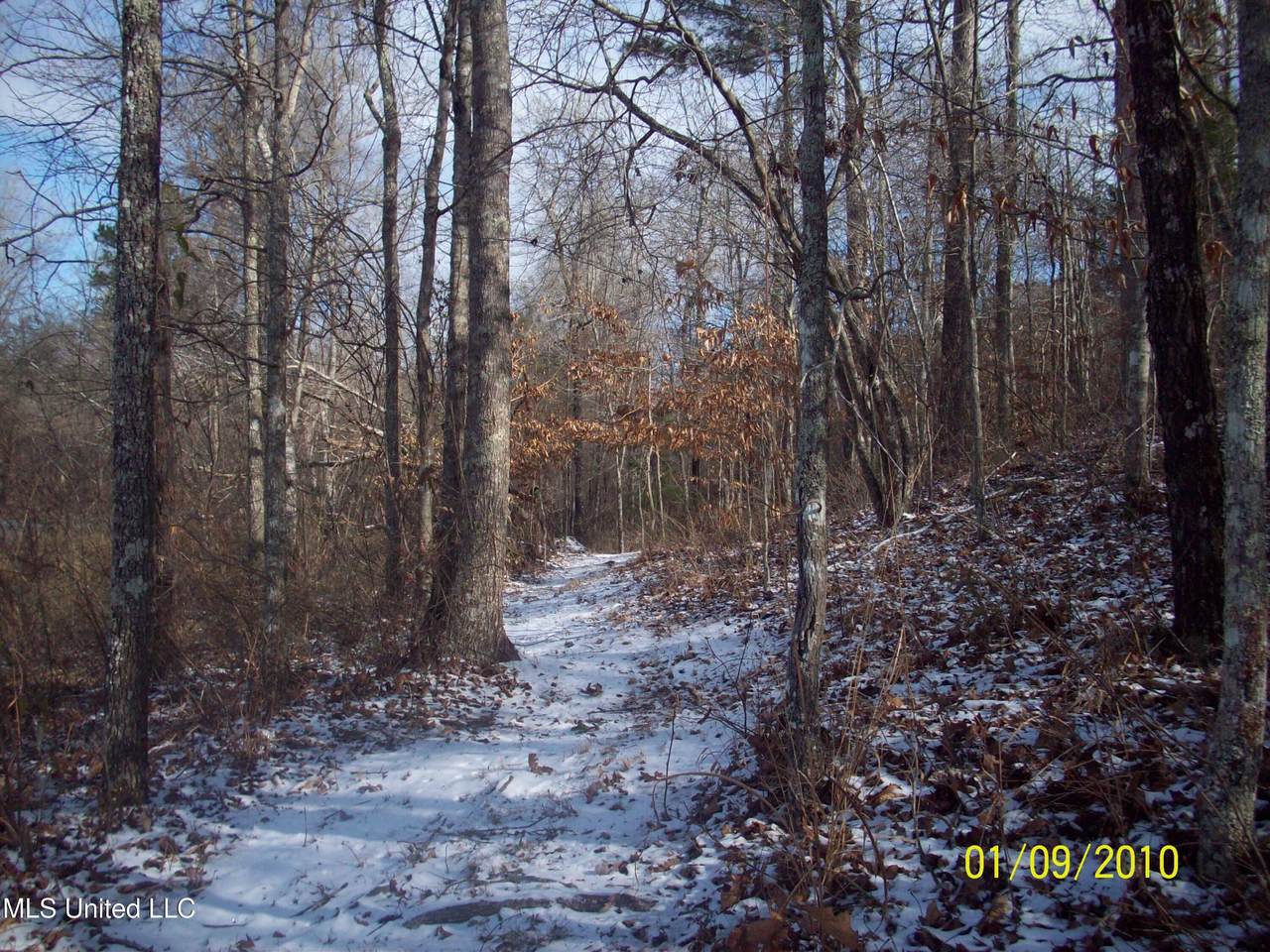 https://bt-photos.global.ssl.fastly.net/united/1280_boomver_1_4134782-2.jpg