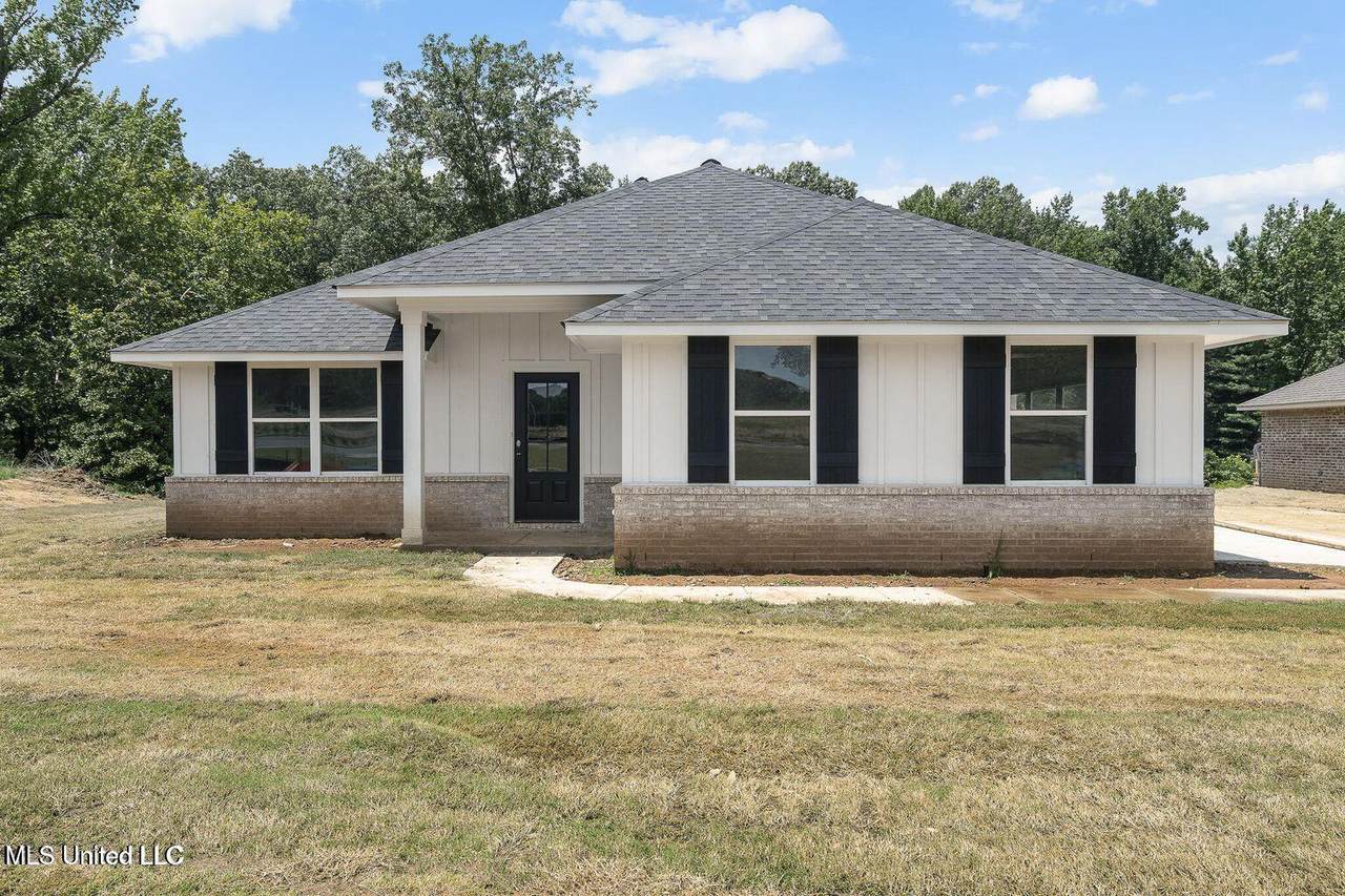4173 Olivia Circle - Photo 1