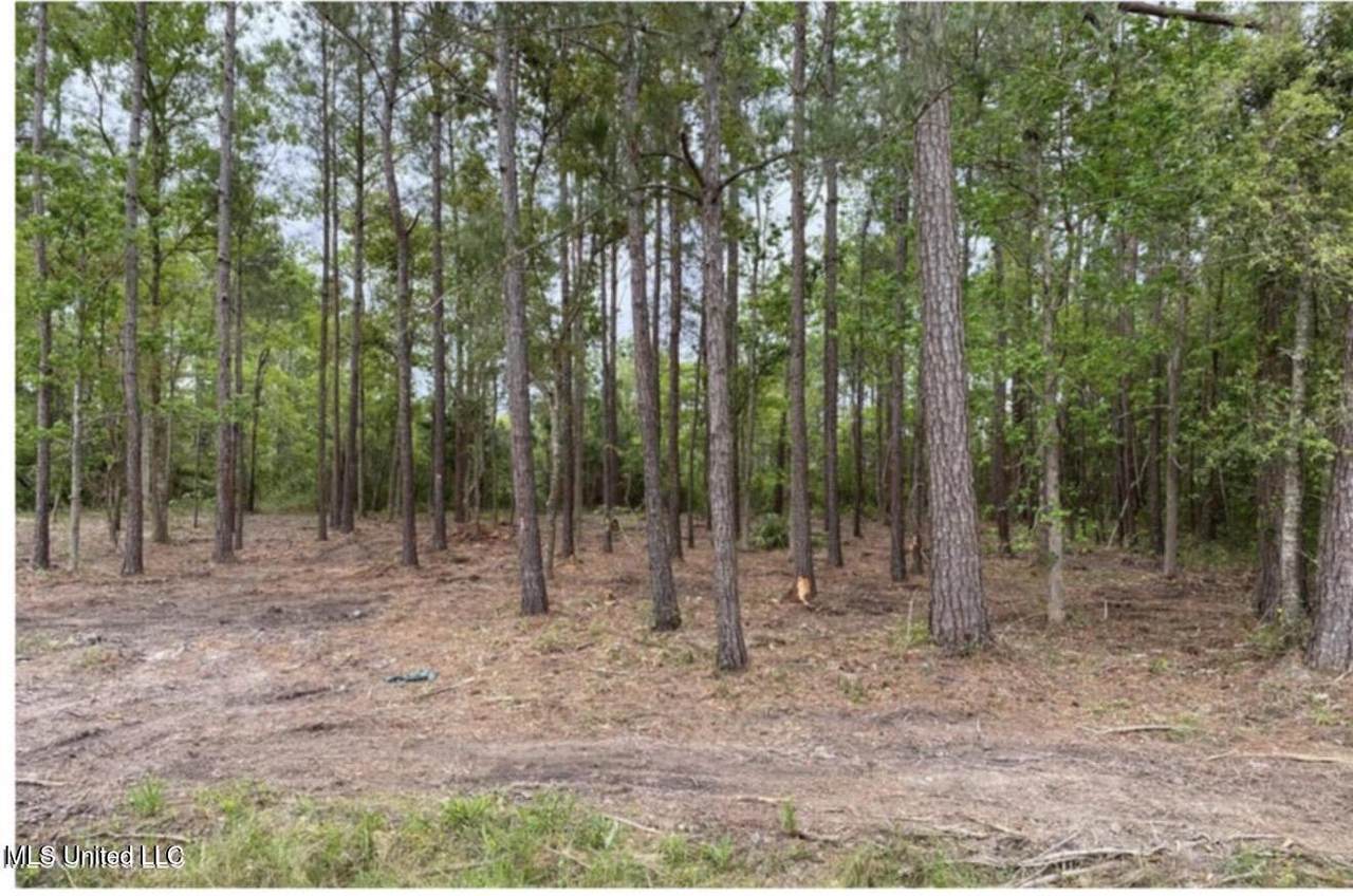  Lot 44 Basswood Drive - Photo 1