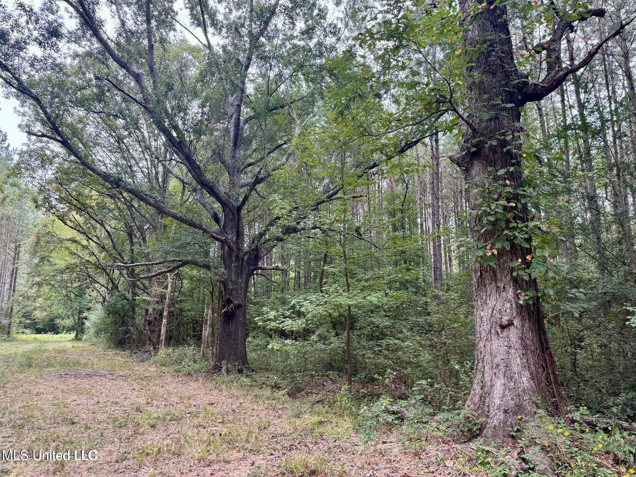 https://bt-photos.global.ssl.fastly.net/united/1280_boomver_1_4135089-2.jpg
