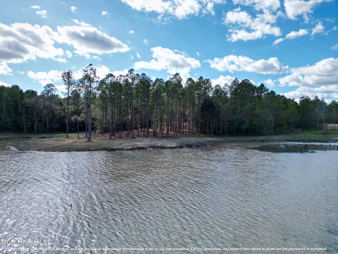  Lot 4 Disalvo Drive - Photo 1