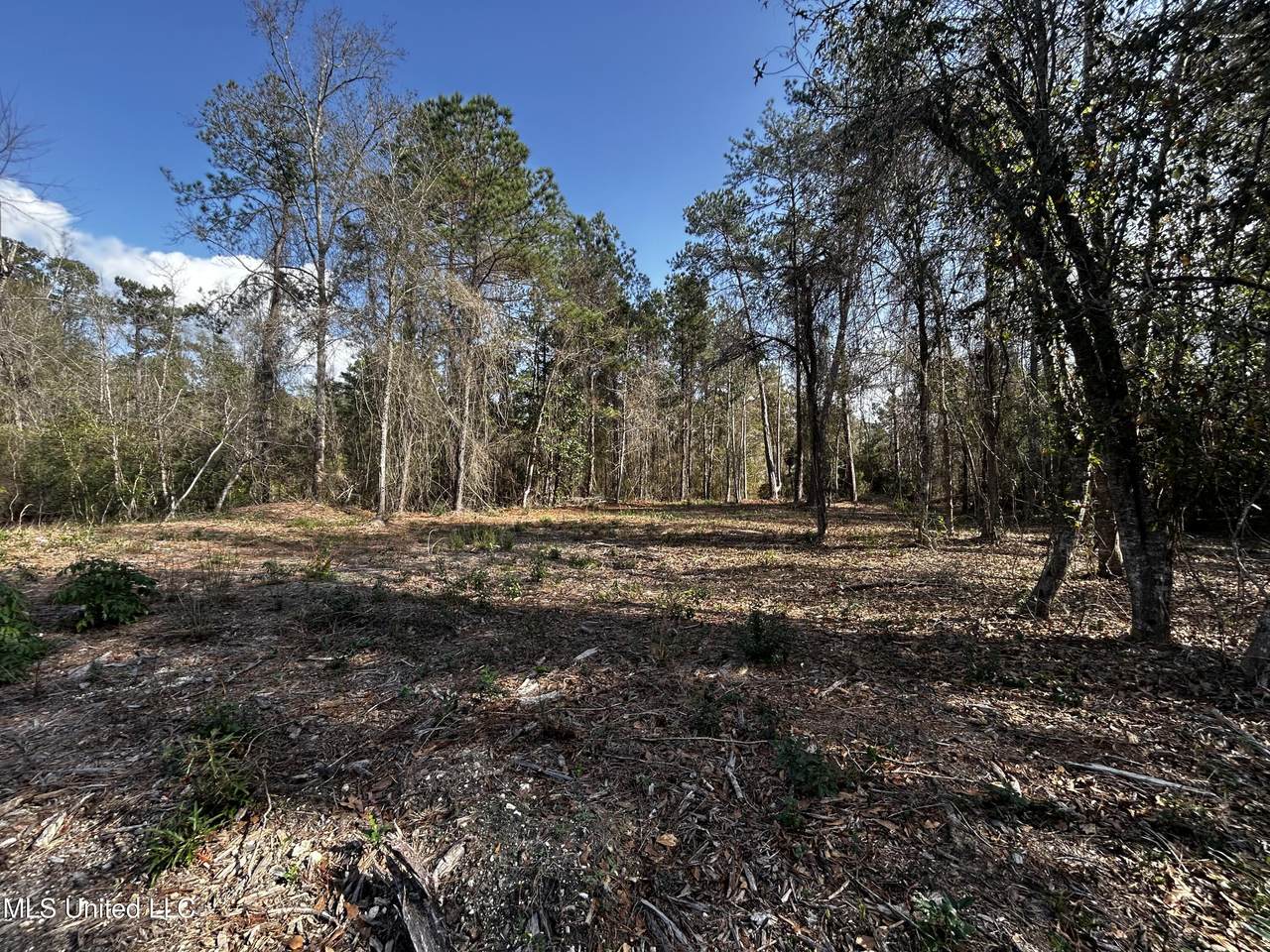 0 Lakeside Drive - Photo 1
