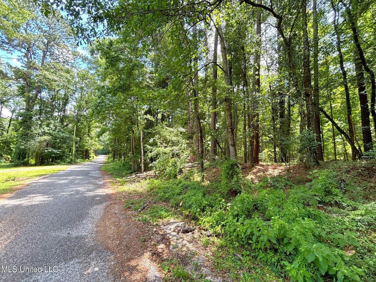  Freeman Road - Photo 1