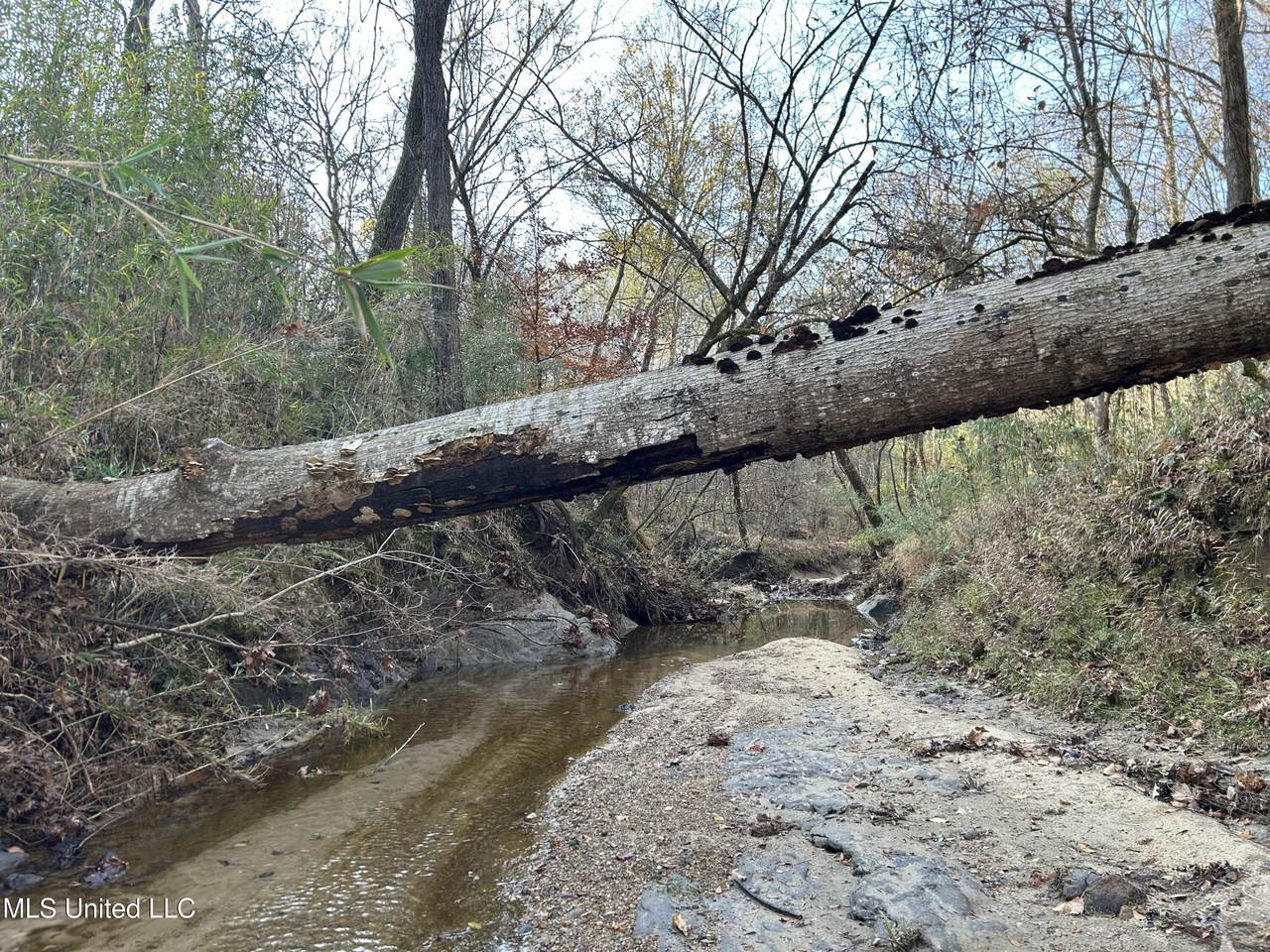  Henderson Road - Photo 1