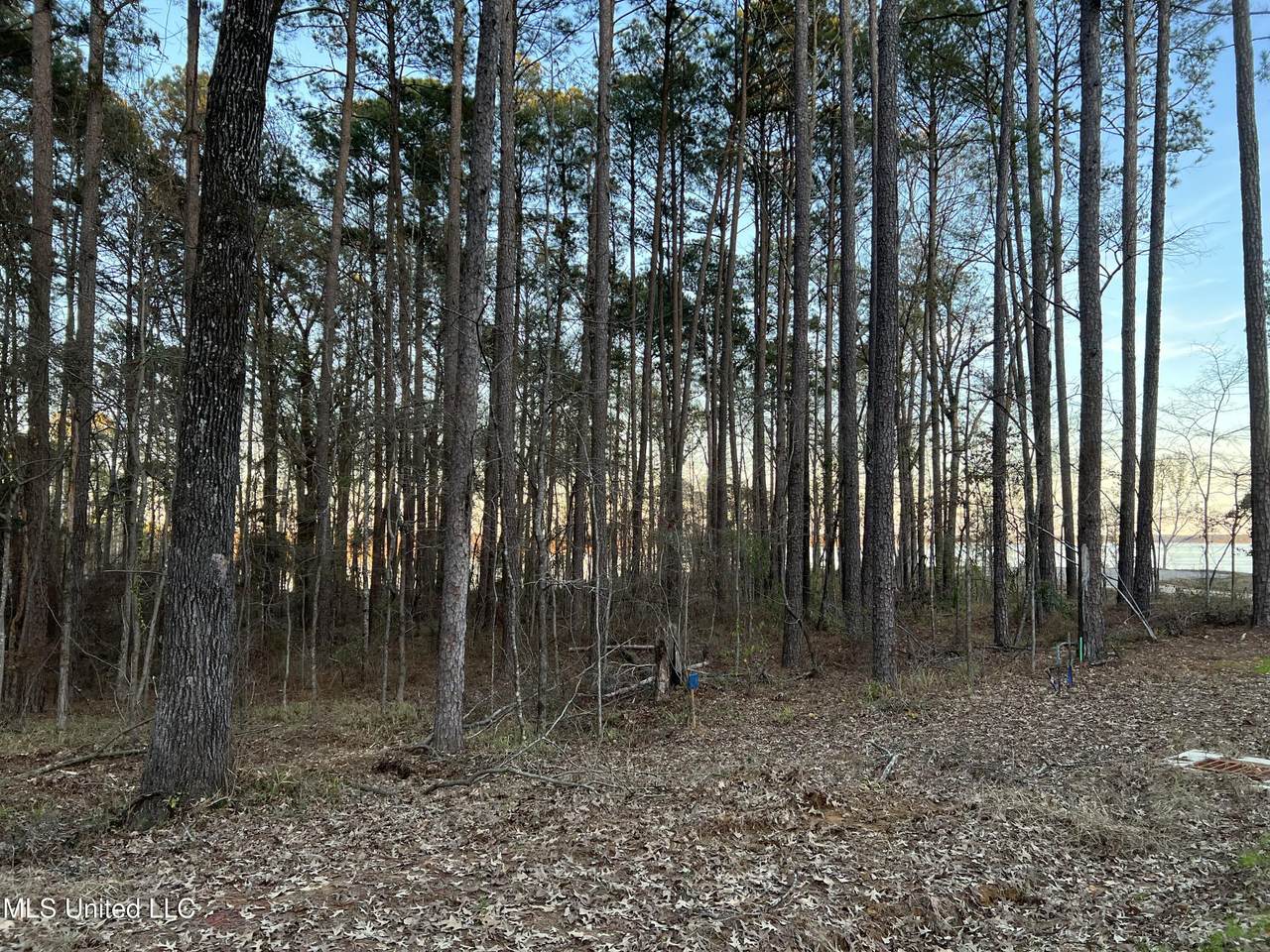 https://bt-photos.global.ssl.fastly.net/united/1280_boomver_1_4135528-2.jpg