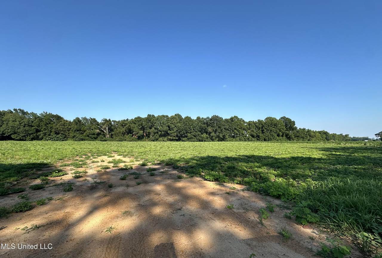  Marshall Smith Road - Photo 1