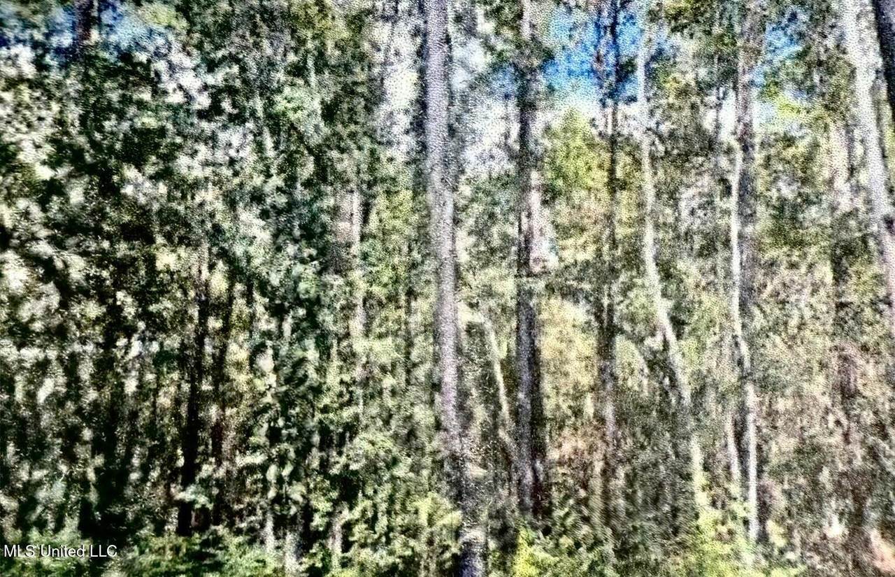  Jeff Road - Photo 1