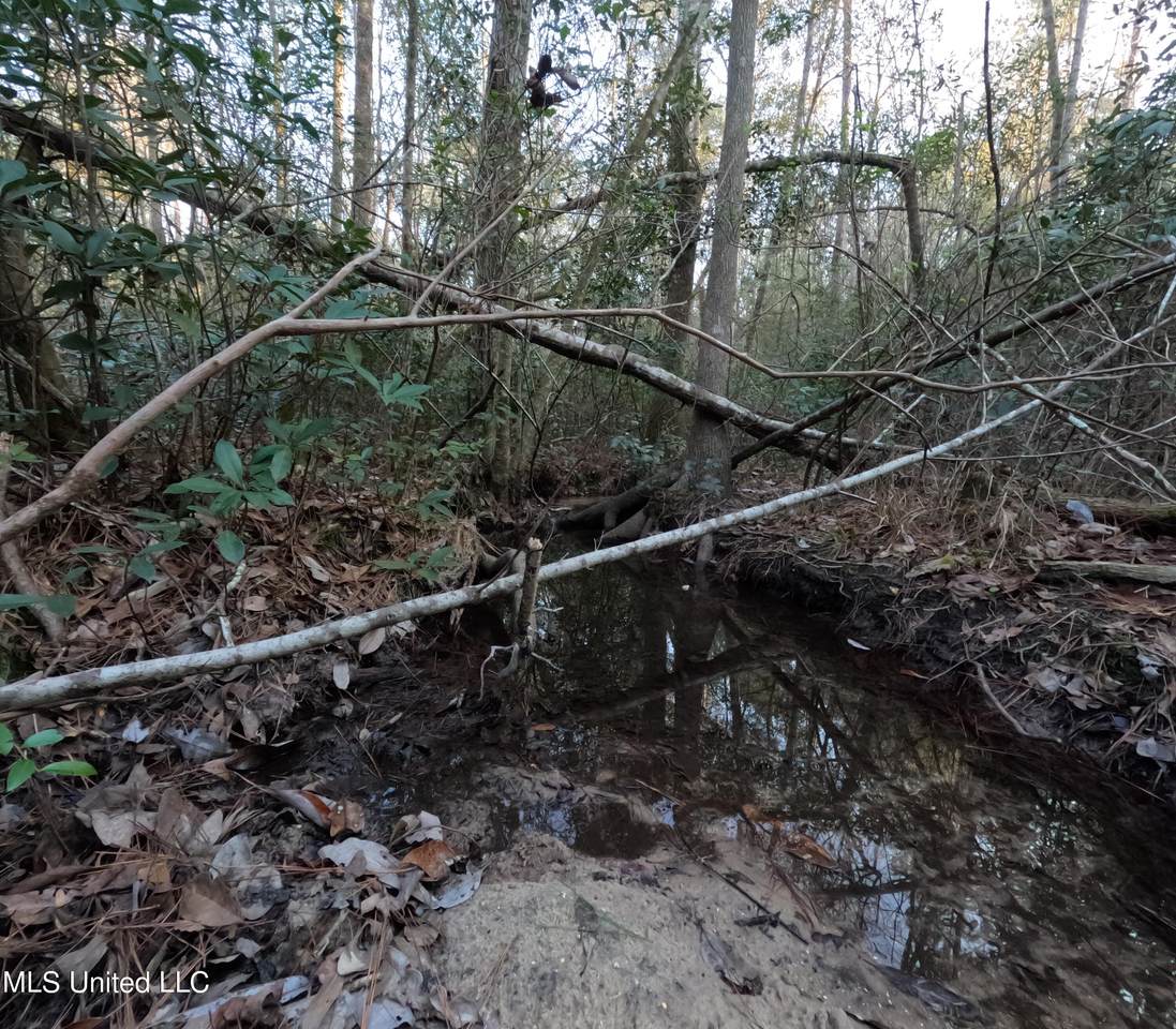  County Line Road - Photo 1