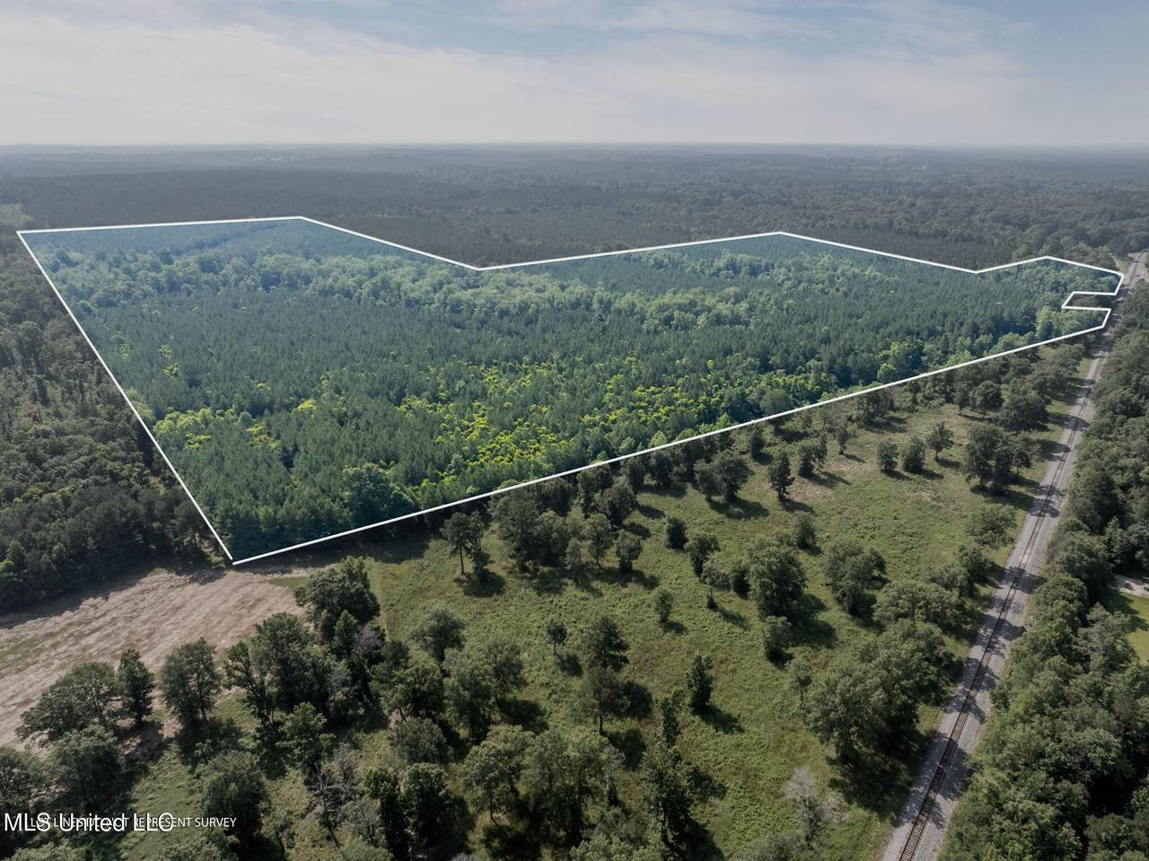 121 Acres Old Highway 49 - Photo 1