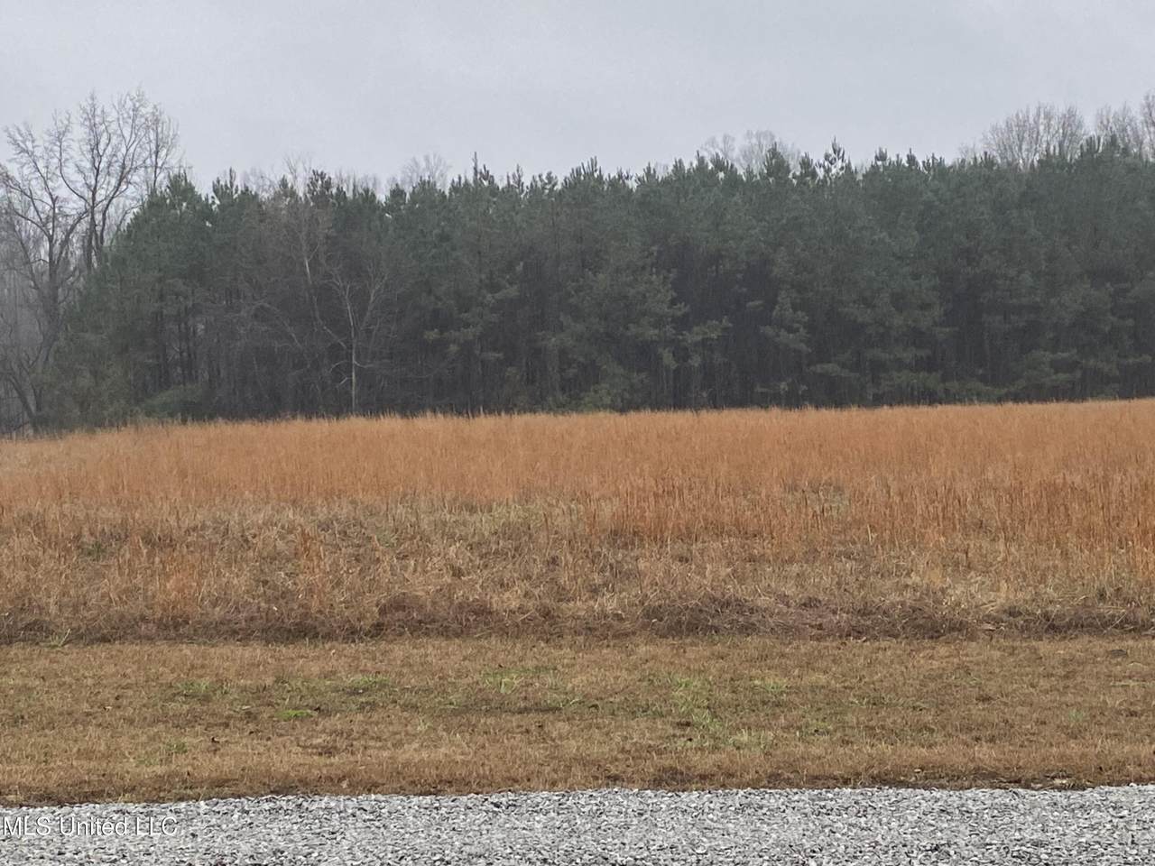 2603 Odom Road - Photo 1