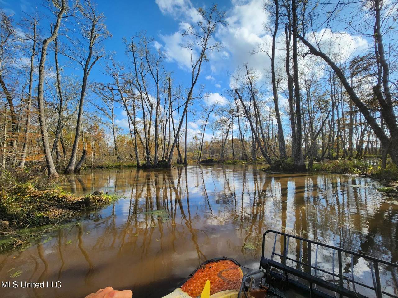  Mississippi 12 - Photo 1